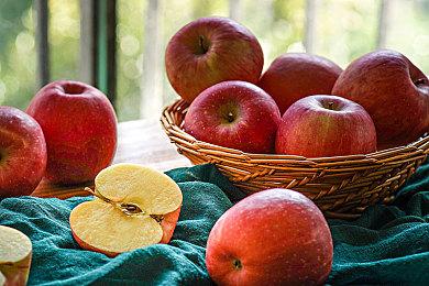 《最后的生还者》新概念图或在暗示顽皮狗新IP